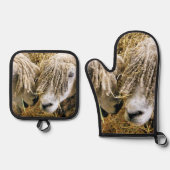 KUSTSCHAPEN OVENWANT & PANNENLAP SET (Voorkant)