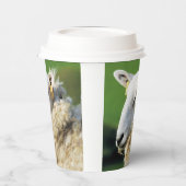 KUSTSCHAPEN PAPIEREN BEKERS (Links)