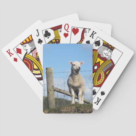 KUSTSCHAPEN POKERKAARTEN (Achterkant)