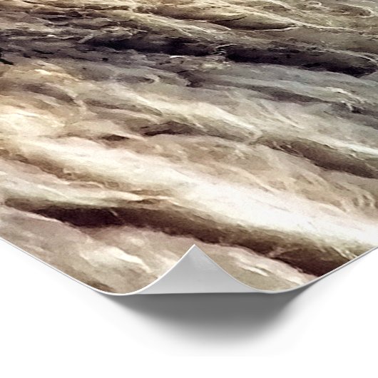 KUSTSCHAPEN POSTER (Hoek)