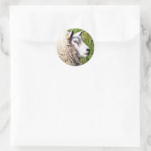 KUSTSCHAPEN RONDE STICKER (Tas)