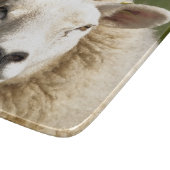 KUSTSCHAPEN SNIJPLANK (Hoek)