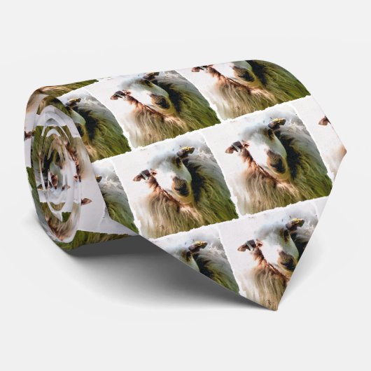 KUSTSCHAPEN STROPDAS (Opgerold)