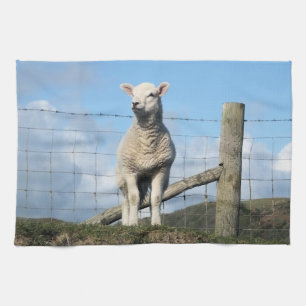 KUSTSCHAPEN THEEDOEK