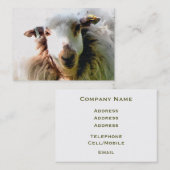 KUSTSCHAPEN VISITEKAARTJE (Voorkant / Achterkant)