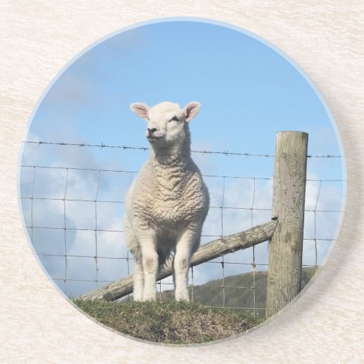 KUSTSCHAPEN ZANDSTEEN ONDERZETTER (Voorkant)