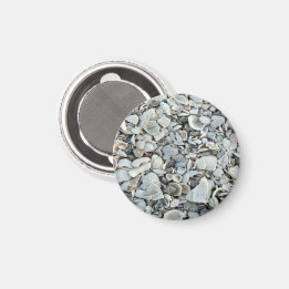 Kustschelpen Driftpatroon Magneet