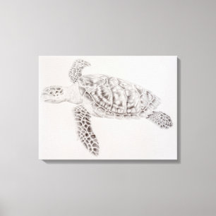 Kustschildpad voor Zee Canvas Afdruk