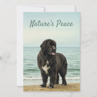 Kustsereniteit – Newfoundland Honden Natuur