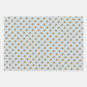 Kuststaartstrand Inpakpapier Vel (Voorkant 3)