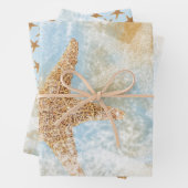 Kuststaartstrand Inpakpapier Vel (In situ)