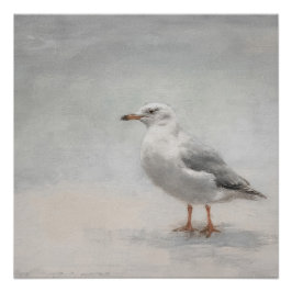 Kuststrand zeemeeuw landschap perfect poster
