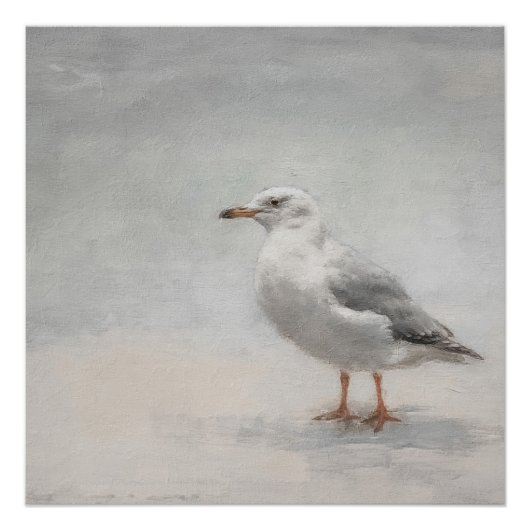 Kuststrand zeemeeuw landschap perfect poster (Voorkant)