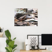 KustTaipan Poster (Thuiskantoor)