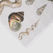 kustzeeschelp-waterverven tissuepapier (Detail)