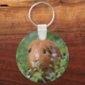 Kut gemberguinee, buiten op gras sleutelhanger (Voorkant)