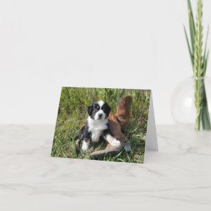 Kutblauwe, geoogste Aussie puppy met cowboylaarzen Notitiekaartje