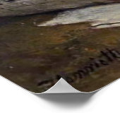 Kute  ( 1886 ) Two Kittens Poster (Hoek)