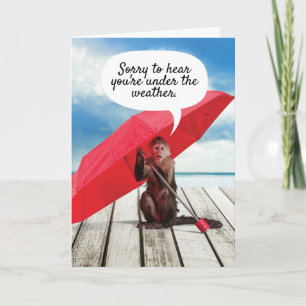 Kute aap onder het weerwater komt goed kaart