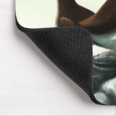 Kute Atlantic Puffins Seabirds on the Rocks Muismat (Hoek)