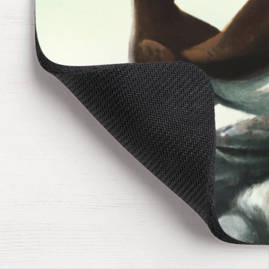 Kute Atlantic Puffins Seabirds on the Rocks Muismat (Hoek)