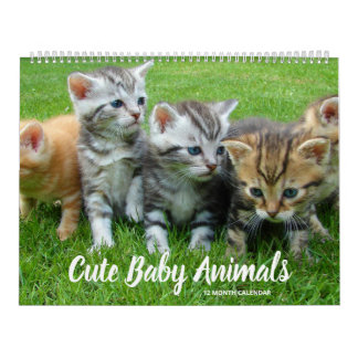 Kute Baby Animals Kalender