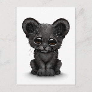 Kute Baby Black Panther Cub op White Briefkaart