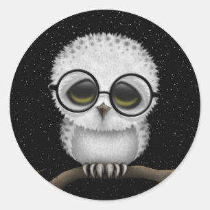 Kute Baby Snowy Owl Wearing Glasses with Stars Ronde Sticker