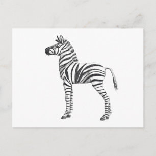 Kute Baby Zebra tekening Briefkaart