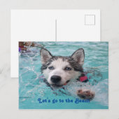 Kute Beach Dog greetings Briefkaart (Voorkant / Achterkant)