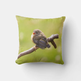 Kute bird zingt gelukkig in een zomerdag kussen