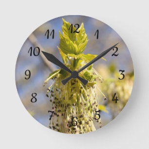 Kute bladeren op lentfoto ronde klok