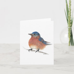 Kute Bluebird Waterverf Colored Pencil Art Kaart