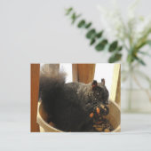 Kute Bright Eyed Black Squirrel Eating Peanuts Briefkaart (Staand voorkant)