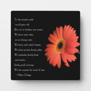 Kute Brother/zuster Siblings Birthday Fotoplaat