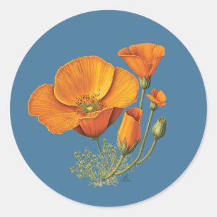 Kute California Poppy Flower Sticker Blad