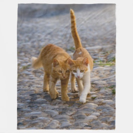 Kute Companioned Kittens lopen hetzelfde pad - zac Fleece Deken