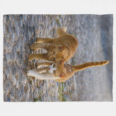 Kute Companioned Kittens lopen hetzelfde pad - zac Fleece Deken (Voorkant (Horizontaal))
