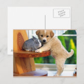 Kute dieren briefkaart (Voorkant / Achterkant)