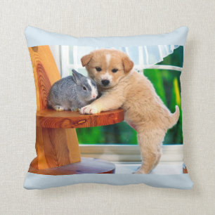 Kute dieren kussen