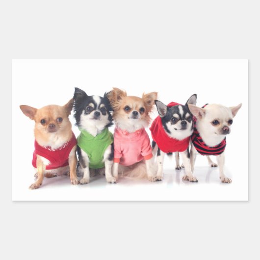 Kute dieren rechthoekige sticker (Voorkant)