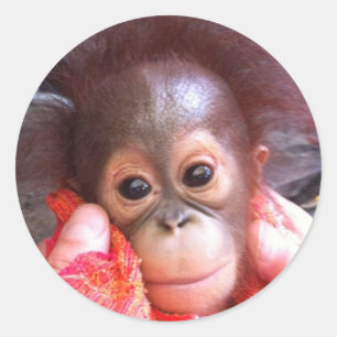 Kute dieren ronde sticker