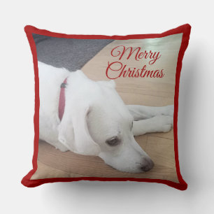 Kute dog met rode kerst kussen