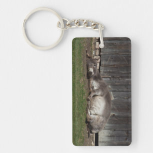Kute Donkey die na een zandbad rust Sleutelhanger