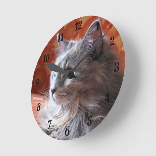 Kute en fluffy grijze  ronde klok (Hoek)