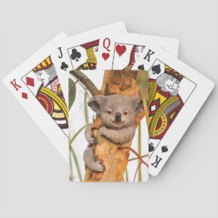Kute en mooie Koala Pokerkaarten