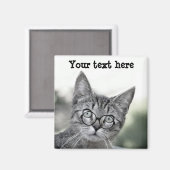 Kute en verraste kat met bril Magnet Magneet (Voorkant / Achterkant)