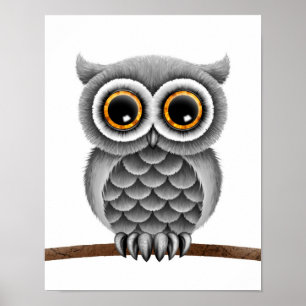 Kute Fluffy Grey Owl op een Tak, Witte Achtergrond Poster