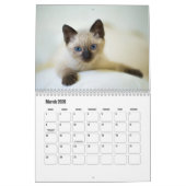 Kute Furry Purry Cat Lovers Calendar Kalender (Mar 2026)