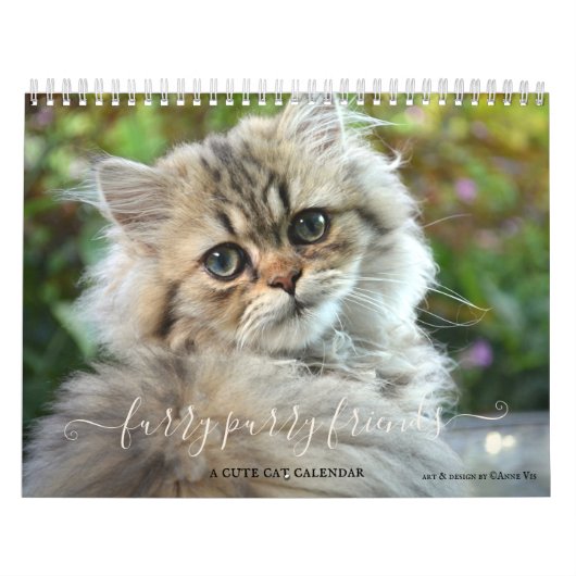 Kute Furry Purry Cat Lovers Calendar Kalender (Hoes)